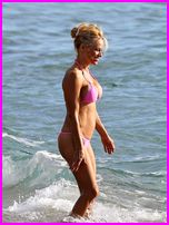 Pamela Anderson Nude Pictures