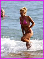 Pamela Anderson Nude Pictures