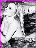 Pamela Anderson Nude Pictures
