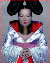 bjork_03.jpg - 76 KB