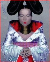 bjork_03.jpg - 76 KB