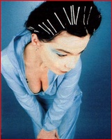 bjork_11.jpg - 75 KB