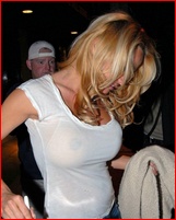 pamela-anderson_15.jpg - 169 KB