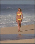 Sara Foster Nude And Bikini Movie Stills Nude Pictures