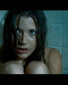 Sarah Roemer Nude Pictures