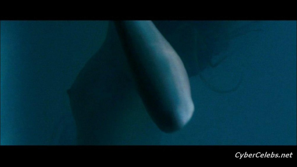 Sarah Roemer Nude 15